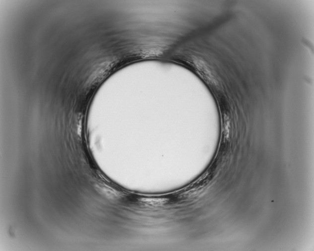 X0000097960495200804211107