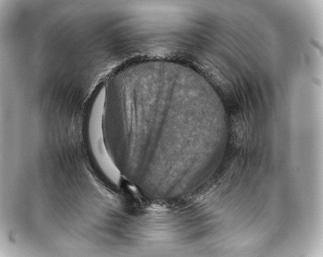 X0000097960496200804211107