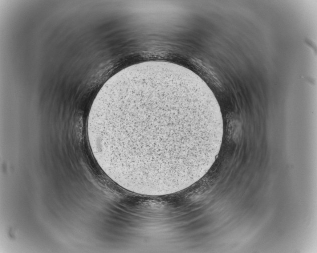 X0000097960498200804211106