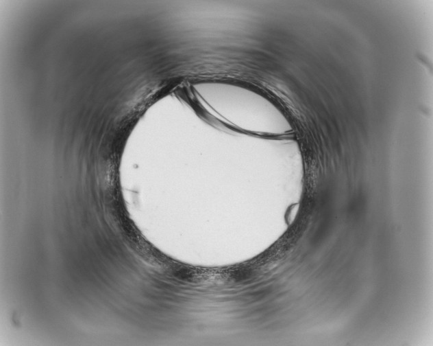 X0000097960499200804211106