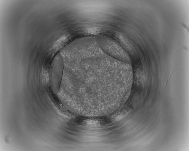 X0000097960500200804211106