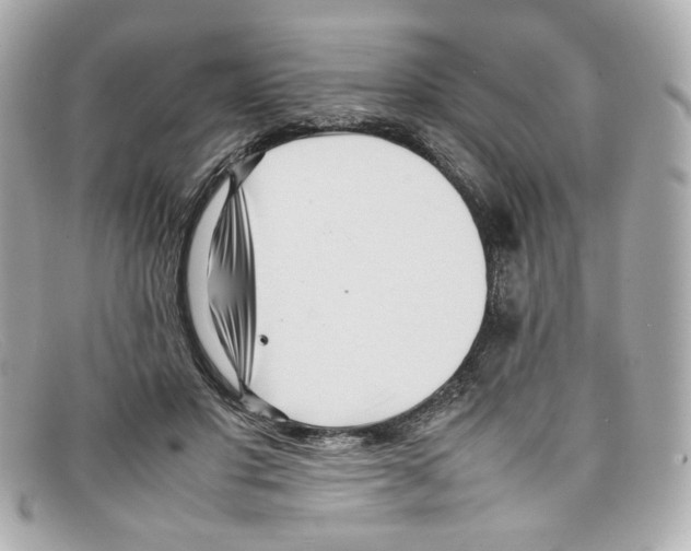 X0000097960501200804211106