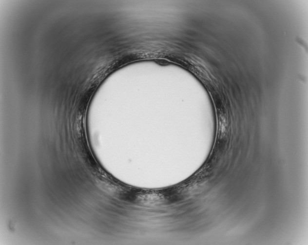 X0000097960503200804211106