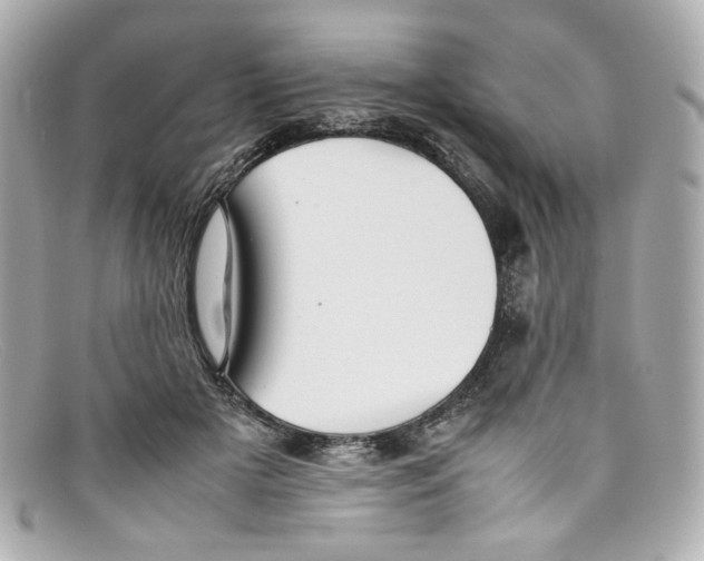 X0000097960505200804211106