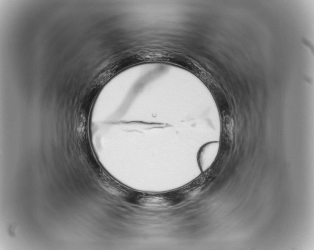 X0000097960507200804211106