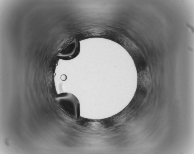 X0000097960509200804211106