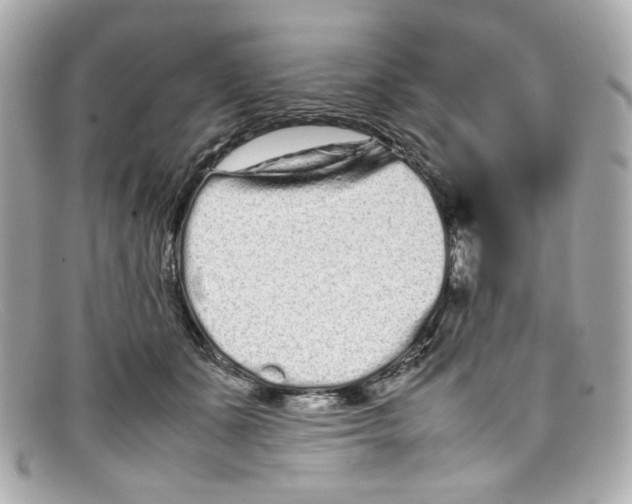 X0000097960511200804211106