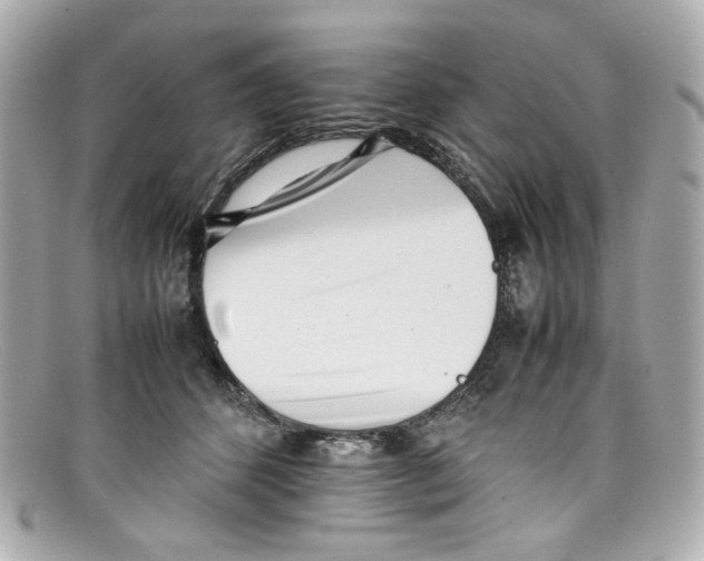 X0000097960512200804211106