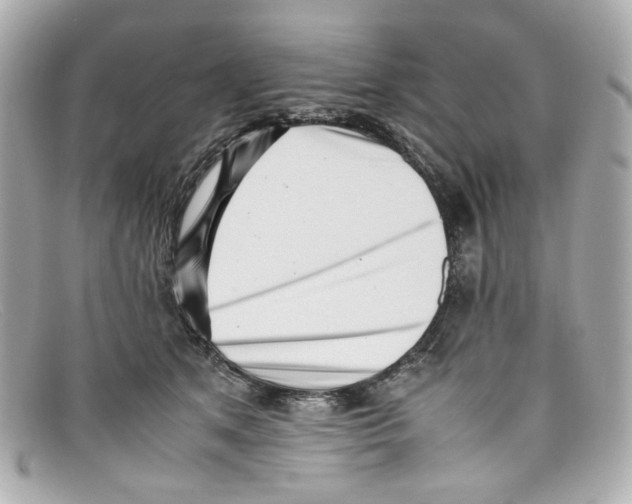 X0000097960513200804211106