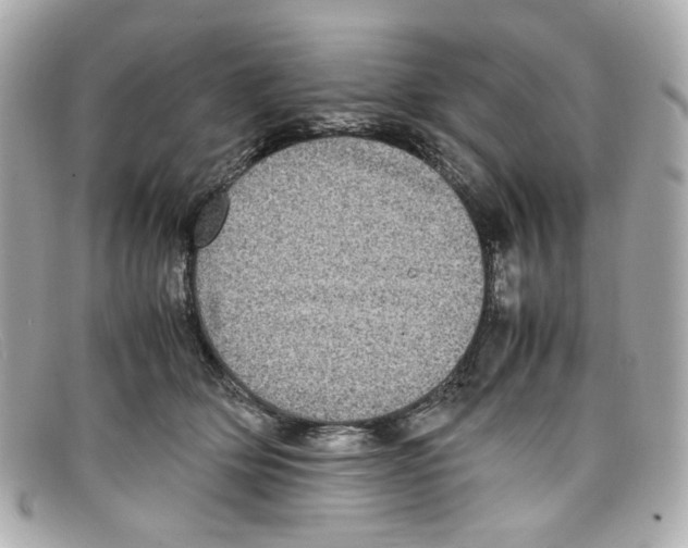 X0000097960514200804211106