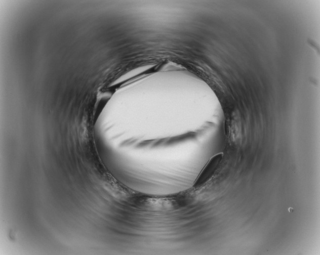 X0000097960520200804211106