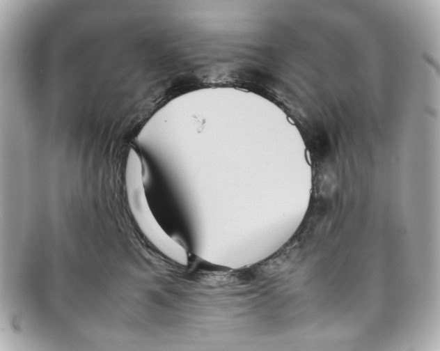 X0000097960521200804211106