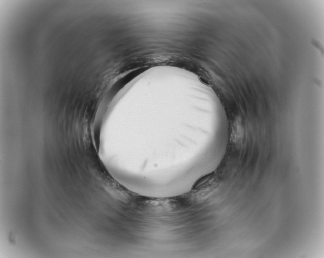 X0000097960524200804211106
