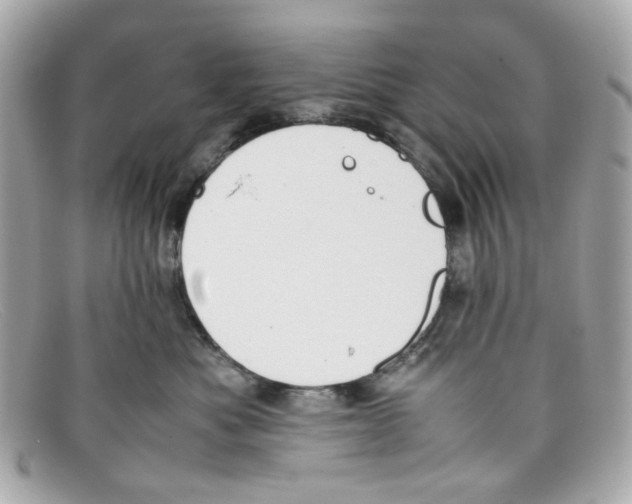 X0000097960525200804211106