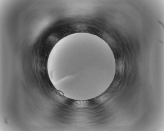 X0000097960526200804211106