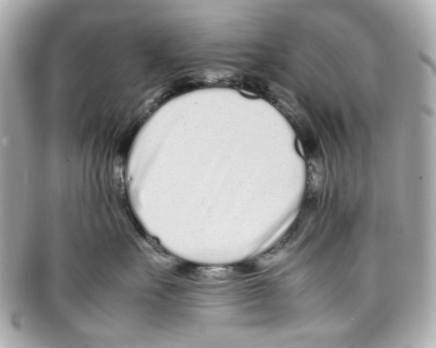 X0000097960527200804211106