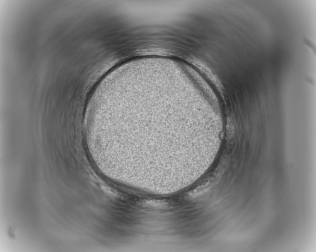X0000097960529200804211105