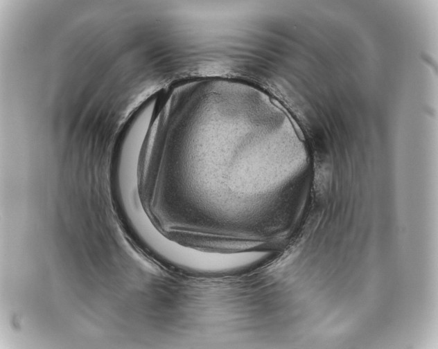 X0000097960530200804211105
