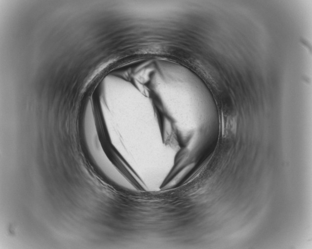 X0000097960531200804211105