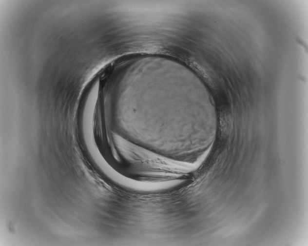 X0000097960532200804211105
