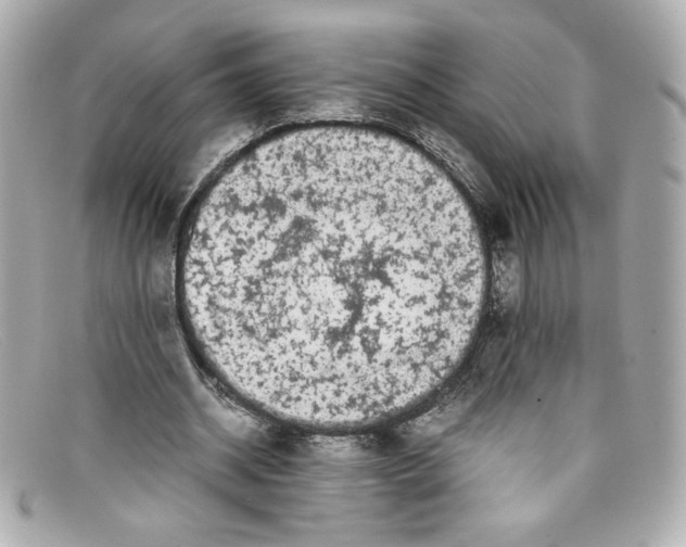 X0000097960534200804211105