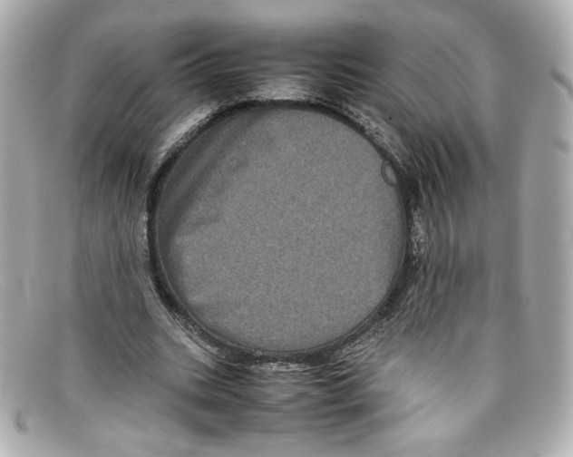 X0000097960535200804211105