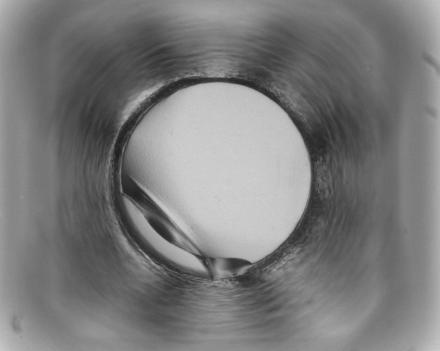 X0000097960536200804211105