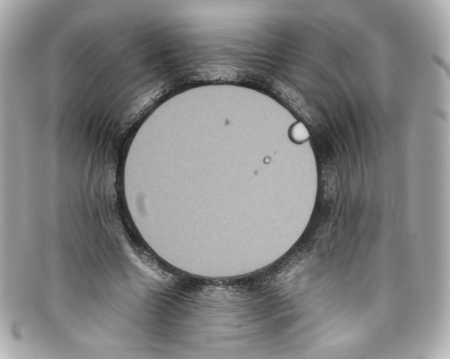 X0000097960538200804211105