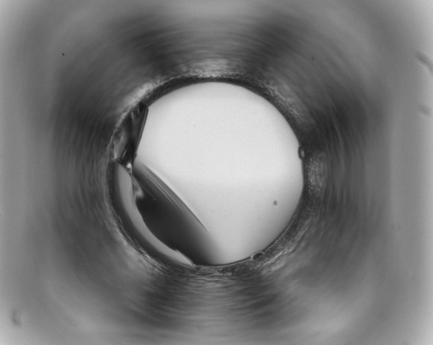 X0000097960540200804211105