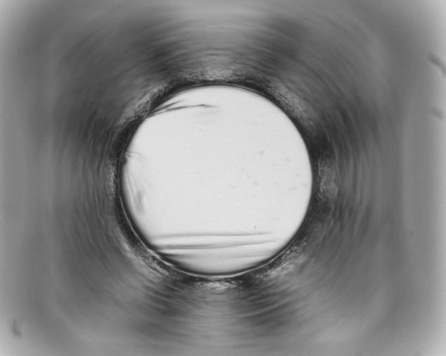 X0000097960542200804211105