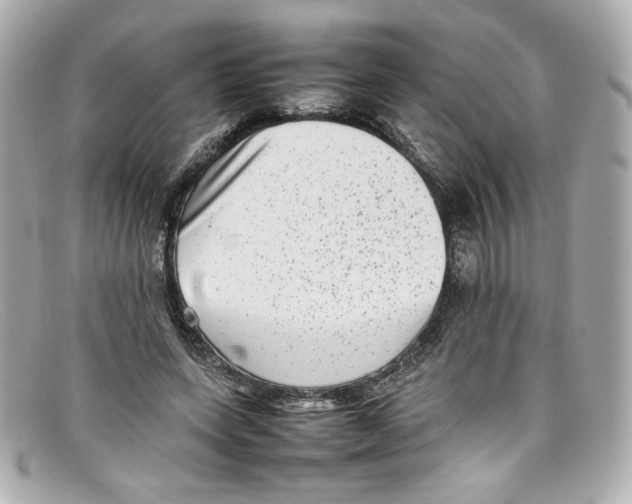 X0000097960543200804211105