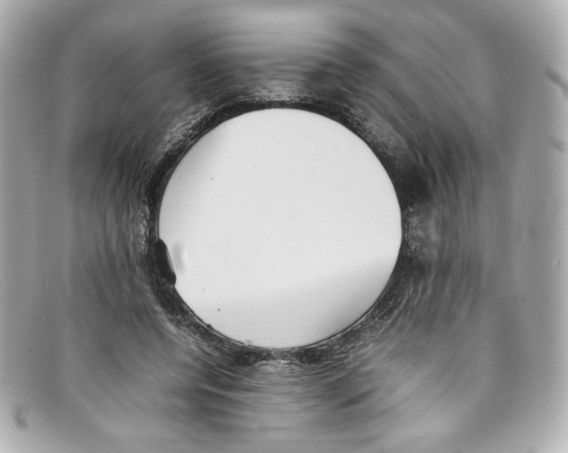 X0000097960544200804211105