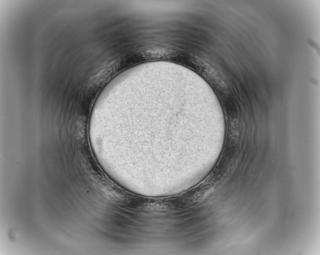 X0000097960545200804211105