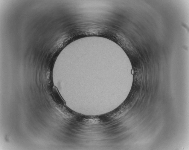 X0000097960548200804211105