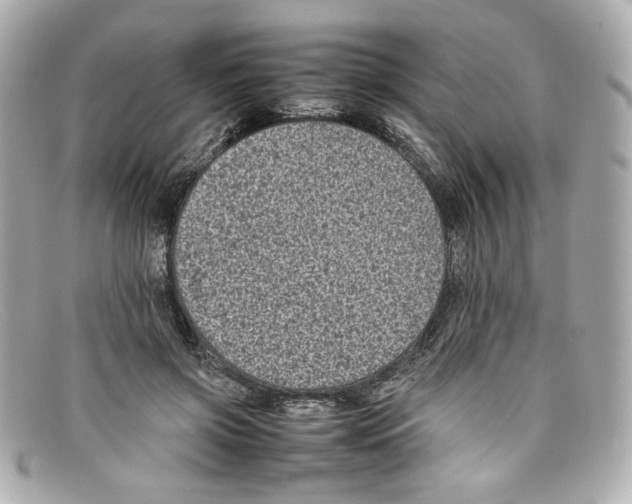 X0000097960549200804211105