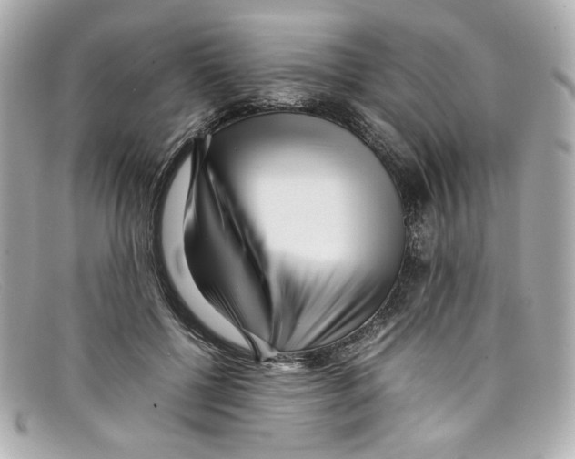 X0000097960552200804211105