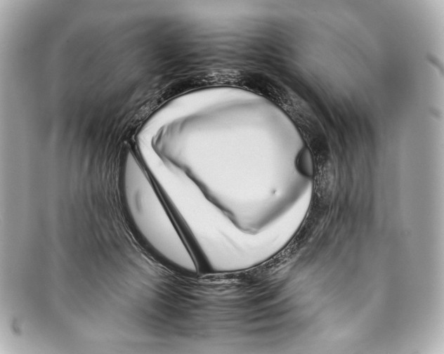 X0000097960553200804211105