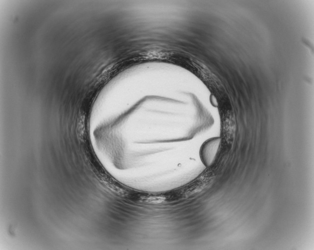 X0000097960554200804211105