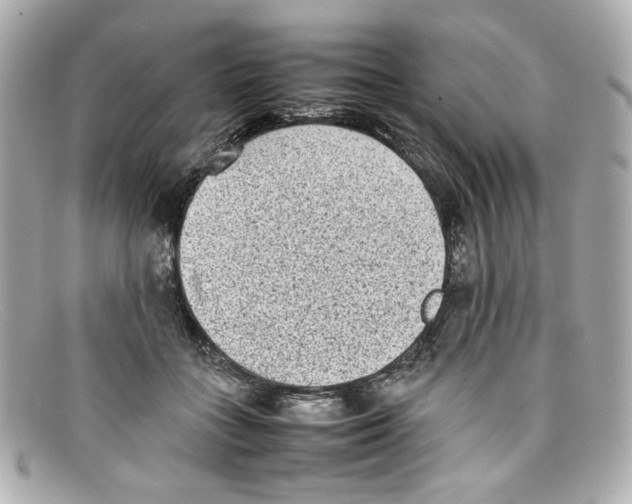 X0000097960555200804211105
