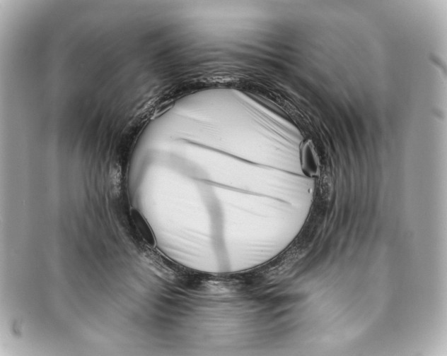 X0000097960556200804211105
