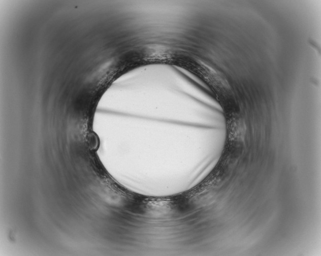 X0000097960560200804211105