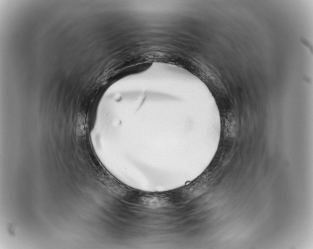 X0000097960561200804211106