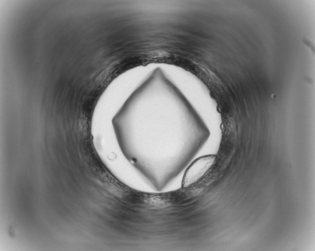 X0000097960565200804211106