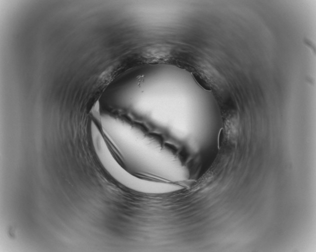 X0000097960570200804211106