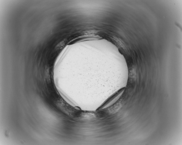 X0000097960572200804211106