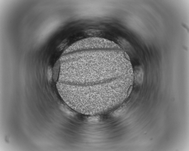 X0000097960574200804211106