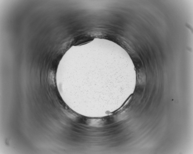 X0000097960575200804211106