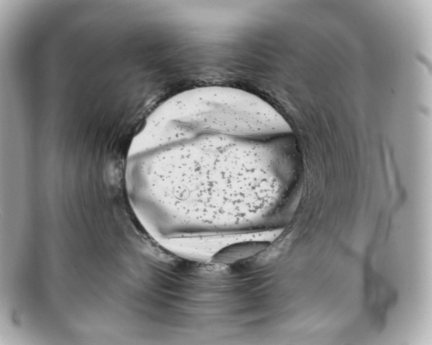 X0000097960576200804211106