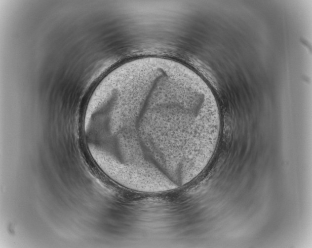 X0000097960578200804211105