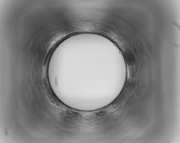 X0000097960579200804211105